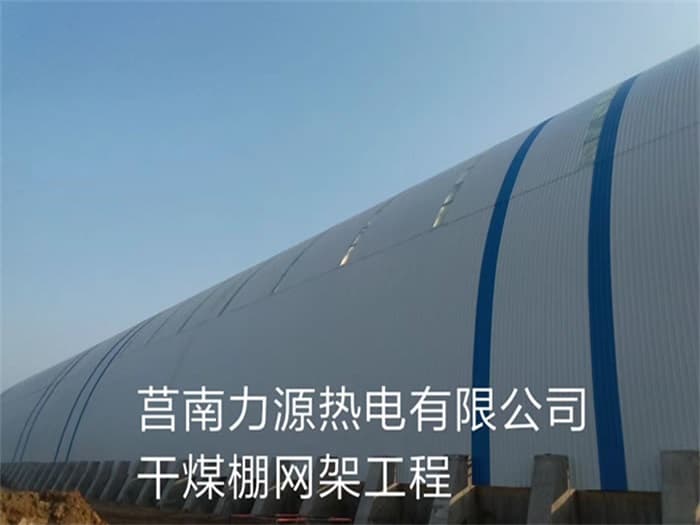 丰城力源热电有限公司干煤棚网架工程